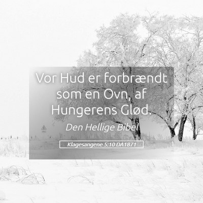 Picture 05 - Klagesangene 5:10 DA1871 - Vor Hud er forbrændt som en Ovn, af Hungerens - Bible Verse Picture