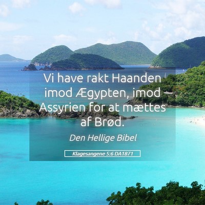 Picture 05 - Klagesangene 5:6 DA1871 - Vi have rakt Haanden imod Ægypten, imod Assyrien - Bible Verse Picture