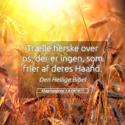Picture 05 - Klagesangene 5:8 DA1871 - Trælle herske over os; der er ingen, som frier - Bible Verse Picture
