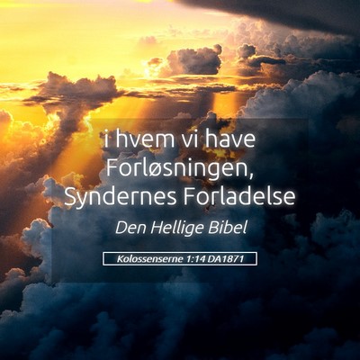 Picture 05 - Kolossenserne 1:14 DA1871 - i hvem vi have Forløsningen, Syndernes - Bible Verse Picture