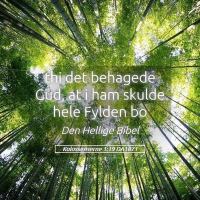 Picture 05 - Kolossenserne 1:19 DA1871 - thi det behagede Gud, at i ham skulde hele Fylden - Bible Verse Picture