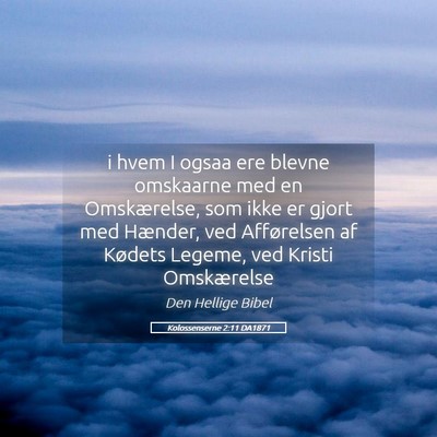Picture 05 - Kolossenserne 2:11 DA1871 - i hvem I ogsaa ere blevne omskaarne med en - Bible Verse Picture