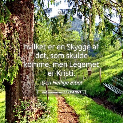 Picture 05 - Kolossenserne 2:17 DA1871 - hvilket er en Skygge af det, som skulde komme, - Bible Verse Picture