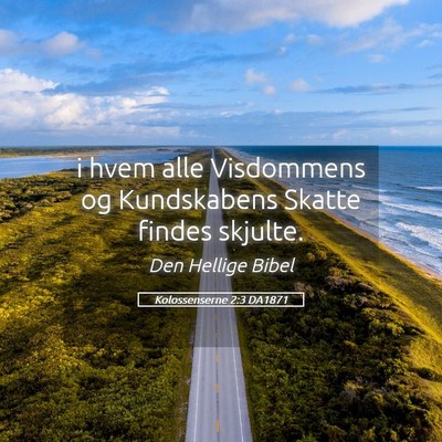 Picture 05 - Kolossenserne 2:3 DA1871 - i hvem alle Visdommens og Kundskabens Skatte - Bible Verse Picture