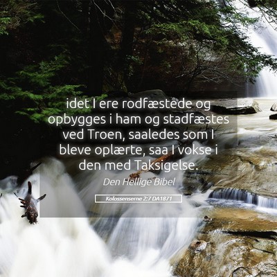 Picture 05 - Kolossenserne 2:7 DA1871 - idet I ere rodfæstede og opbygges i ham og - Bible Verse Picture