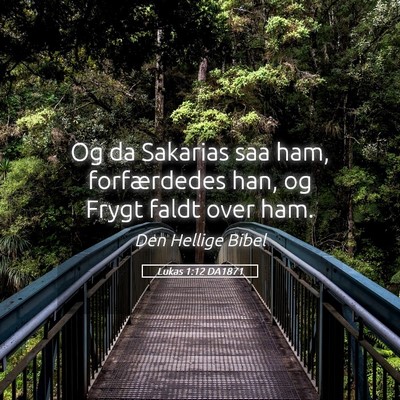 Picture 05 - Lukas 1:12 DA1871 - Og da Sakarias saa ham, forfærdedes han, og - Bible Verse Picture