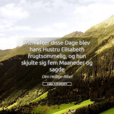 Picture 05 - Lukas 1:24 DA1871 - Men efter disse Dage blev hans Hustru Elisabeth - Bible Verse Picture
