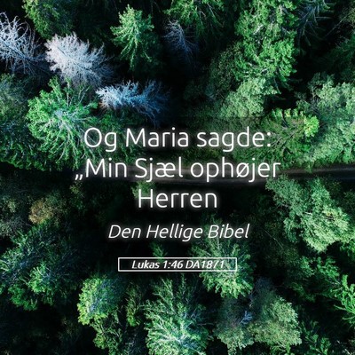 Picture 05 - Lukas 1:46 DA1871 - Og Maria sagde: „Min Sjæl ophøjer - Bible Verse Picture
