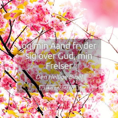 Picture 05 - Lukas 1:47 DA1871 - og min Aand fryder sig over Gud, min - Bible Verse Picture