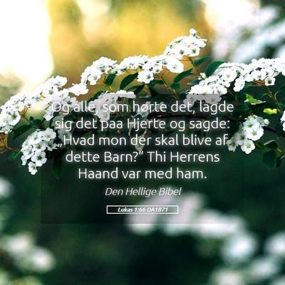 Picture 05 - Lukas 1:66 DA1871 - Og alle, som hørte det, lagde sig det paa Hjerte - Bible Verse Picture