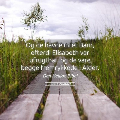 Picture 05 - Lukas 1:7 DA1871 - Og de havde intet Barn, efterdi Elisabeth var - Bible Verse Picture