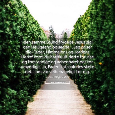 Picture 05 - Lukas 10:21 DA1871 - I den samme Stund frydede Jesus sig i den - Bible Verse Picture
