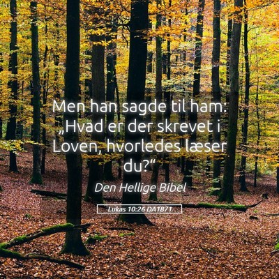Picture 05 - Lukas 10:26 DA1871 - Men han sagde til ham: „Hvad er der skrevet i - Bible Verse Picture