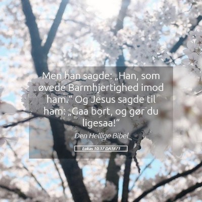 Picture 05 - Lukas 10:37 DA1871 - Men han sagde: „Han, som øvede Barmhjertighed - Bible Verse Picture