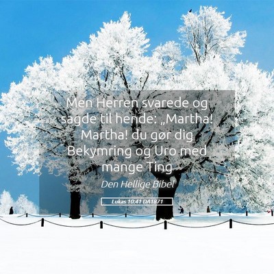Picture 05 - Lukas 10:41 DA1871 - Men Herren svarede og sagde til hende: „Martha! - Bible Verse Picture