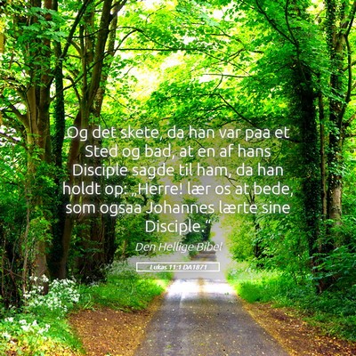 Picture 05 - Lukas 11:1 DA1871 - Og det skete, da han var paa et Sted og bad, at - Bible Verse Picture
