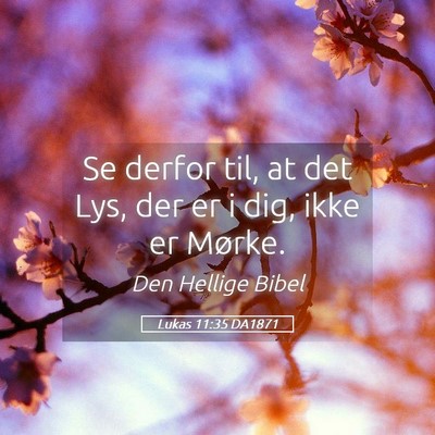 Picture 05 - Lukas 11:35 DA1871 - Se derfor til, at det Lys, der er i dig, ikke er - Bible Verse Picture