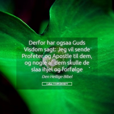 Picture 05 - Lukas 11:49 DA1871 - Derfor har ogsaa Guds Visdom sagt: Jeg vil sende - Bible Verse Picture