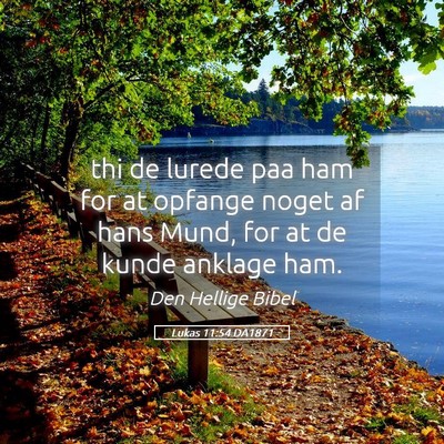 Picture 05 - Lukas 11:54 DA1871 - thi de lurede paa ham for at opfange noget af - Bible Verse Picture