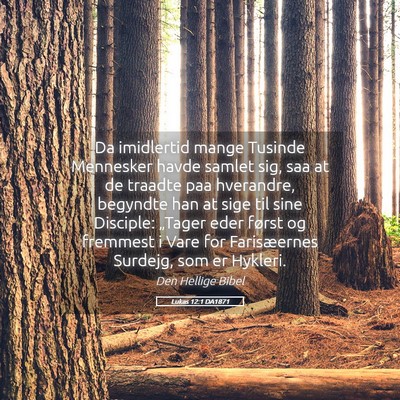 Picture 05 - Lukas 12:1 DA1871 - Da imidlertid mange Tusinde Mennesker havde - Bible Verse Picture