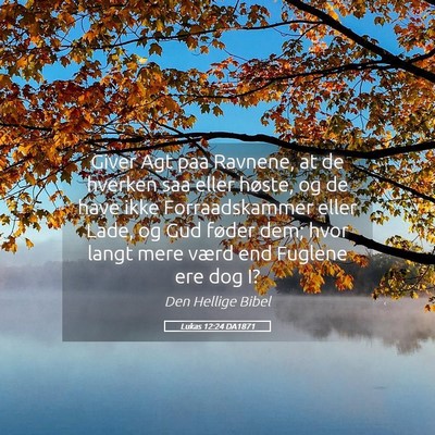 Picture 05 - Lukas 12:24 DA1871 - Giver Agt paa Ravnene, at de hverken saa eller - Bible Verse Picture