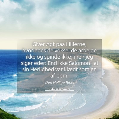 Picture 05 - Lukas 12:27 DA1871 - Giver Agt paa Lillierne, hvorledes de vokse; de - Bible Verse Picture