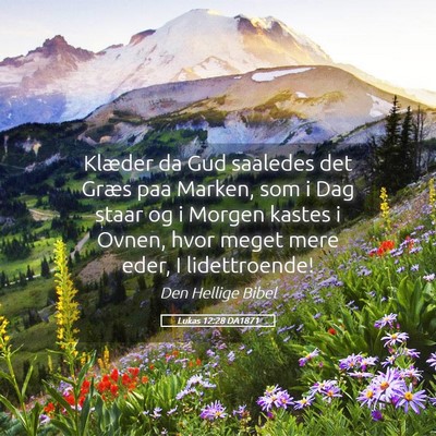 Picture 05 - Lukas 12:28 DA1871 - Klæder da Gud saaledes det Græs paa Marken, som - Bible Verse Picture