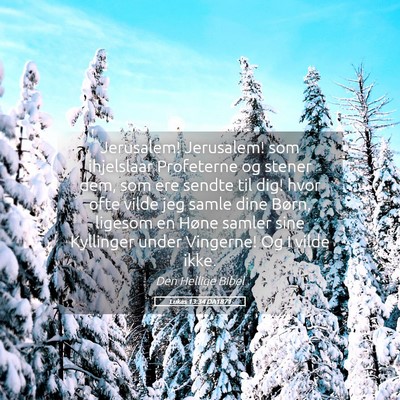 Picture 05 - Lukas 13:34 DA1871 - Jerusalem! Jerusalem! som ihjelslaar Profeterne - Bible Verse Picture