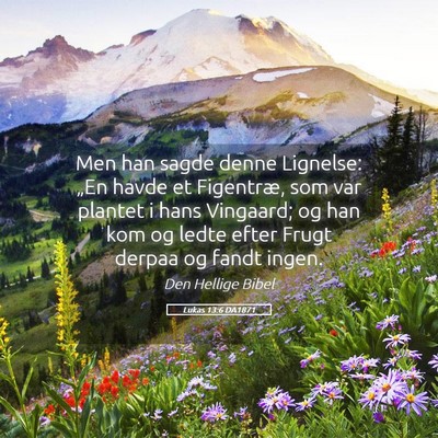 Picture 05 - Lukas 13:6 DA1871 - Men han sagde denne Lignelse: „En havde et - Bible Verse Picture