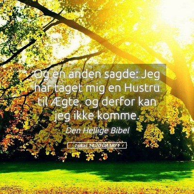 Picture 05 - Lukas 14:20 DA1871 - Og en anden sagde: Jeg har taget mig en Hustru - Bible Verse Picture