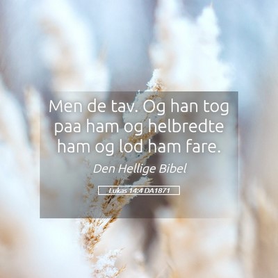 Picture 05 - Lukas 14:4 DA1871 - Men de tav. Og han tog paa ham og helbredte ham - Bible Verse Picture