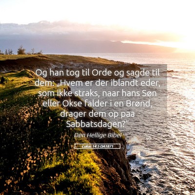 Picture 05 - Lukas 14:5 DA1871 - Og han tog til Orde og sagde til dem: „Hvem er - Bible Verse Picture