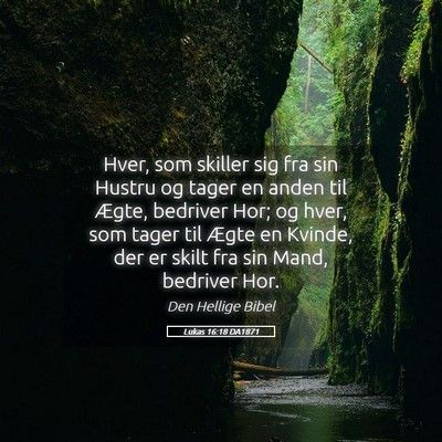 Picture 05 - Lukas 16:18 DA1871 - Hver, som skiller sig fra sin Hustru og tager en - Bible Verse Picture