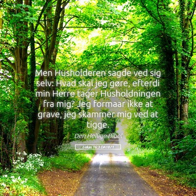 Picture 05 - Lukas 16:3 DA1871 - Men Husholderen sagde ved sig selv: Hvad skal jeg - Bible Verse Picture