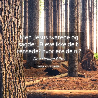 Picture 05 - Lukas 17:17 DA1871 - Men Jesus svarede og sagde: „Bleve ikke de ti - Bible Verse Picture