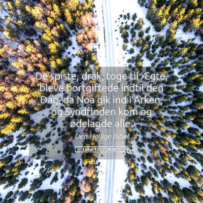 Picture 05 - Lukas 17:27 DA1871 - De spiste, drak, toge til Ægte, bleve - Bible Verse Picture
