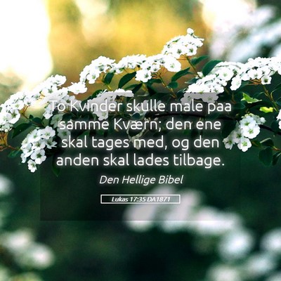 Picture 05 - Lukas 17:35 DA1871 - To Kvinder skulle male paa samme Kværn; den ene - Bible Verse Picture