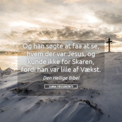 Picture 05 - Lukas 19:3 DA1871 - Og han søgte at faa at se, hvem der var Jesus, - Bible Verse Picture