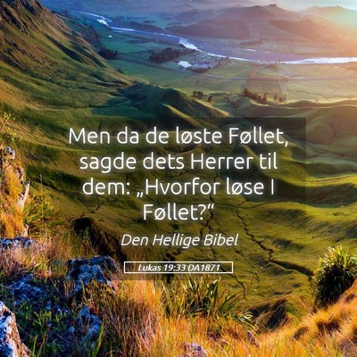 Picture 05 - Lukas 19:33 DA1871 - Men da de løste Føllet, sagde dets Herrer til - Bible Verse Picture