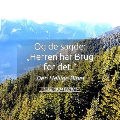 Picture 05 - Lukas 19:34 DA1871 - Og de sagde: „Herren har Brug for - Bible Verse Picture