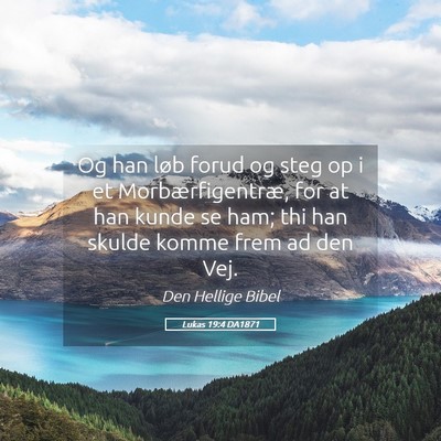 Picture 05 - Lukas 19:4 DA1871 - Og han løb forud og steg op i et - Bible Verse Picture
