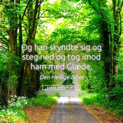 Picture 05 - Lukas 19:6 DA1871 - Og han skyndte sig og steg ned og tog imod ham - Bible Verse Picture
