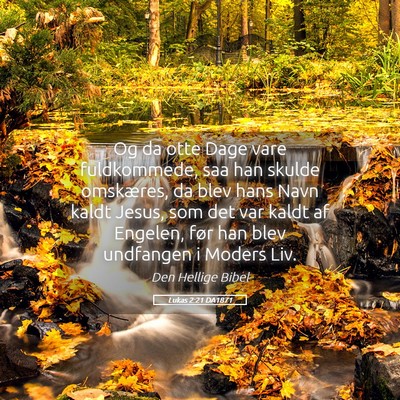 Picture 05 - Lukas 2:21 DA1871 - Og da otte Dage vare fuldkommede, saa han skulde - Bible Verse Picture