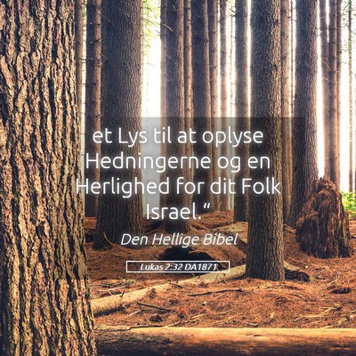 Picture 05 - Lukas 2:32 DA1871 - et Lys til at oplyse Hedningerne og en Herlighed - Bible Verse Picture