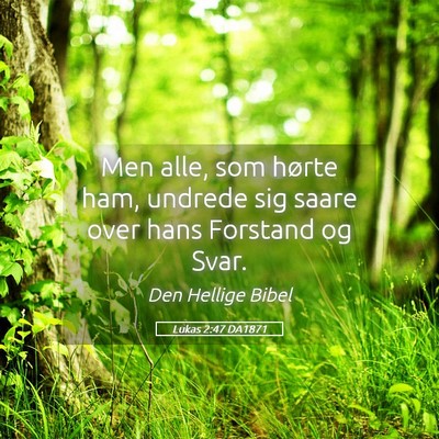 Picture 05 - Lukas 2:47 DA1871 - Men alle, som hørte ham, undrede sig saare over - Bible Verse Picture