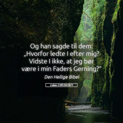 Picture 05 - Lukas 2:49 DA1871 - Og han sagde til dem: „Hvorfor ledte I efter - Bible Verse Picture
