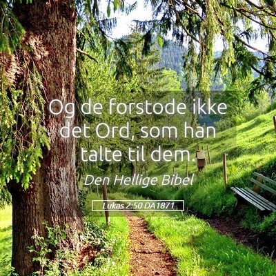 Picture 05 - Lukas 2:50 DA1871 - Og de forstode ikke det Ord, som han talte til - Bible Verse Picture