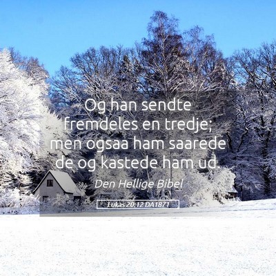 Picture 05 - Lukas 20:12 DA1871 - Og han sendte fremdeles en tredje; men ogsaa ham - Bible Verse Picture