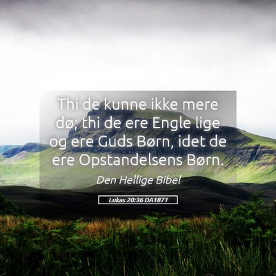 Picture 05 - Lukas 20:36 DA1871 - Thi de kunne ikke mere dø; thi de ere Engle lige - Bible Verse Picture