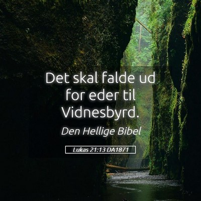 Picture 05 - Lukas 21:13 DA1871 - Det skal falde ud for eder til - Bible Verse Picture